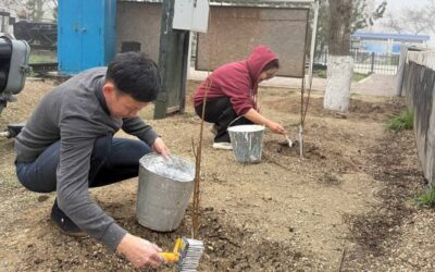ТАЗА СЕНБІЛІК АКЦИЯСЫ